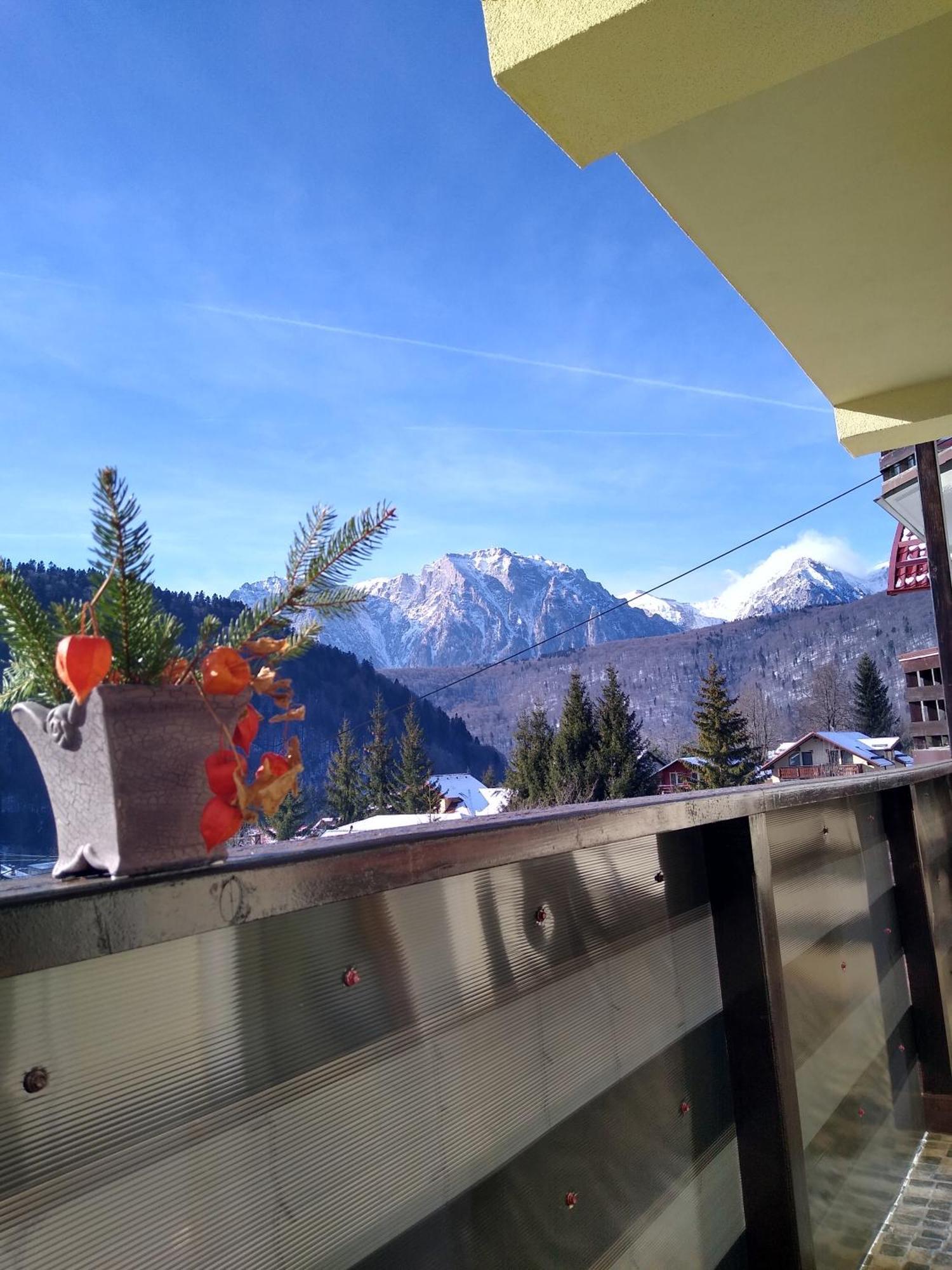 Skyline Villa Azuga Bagian luar foto